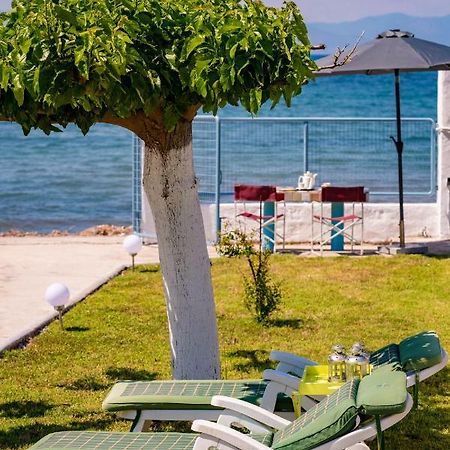 Villa Kiko, The Coastline House à Kato Achaia Extérieur photo